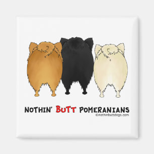 Aimant Rien n'aboutent Pomeranians