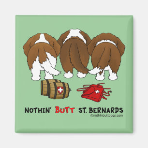 Aimant Rien n'aboutent St Bernards