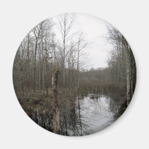 Aimant Rivière à travers la nature sauvage