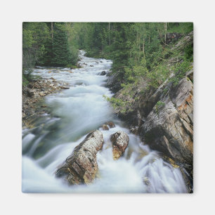 Aimant Rivière Crystal, forêt nationale de Gunnison,