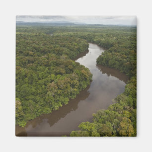 Aimant Rivière Essequibo, plus long fleuve de Guyane, et