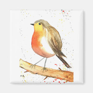 Aimant Robin