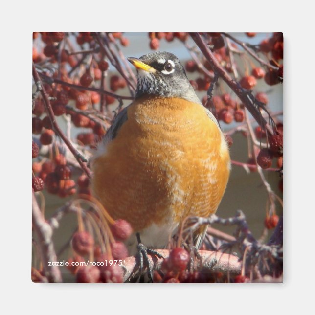 Aimant Robin d'hiver (Devant)