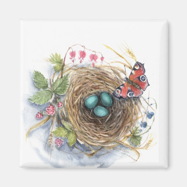 Aimant Robin Nest (Devant)