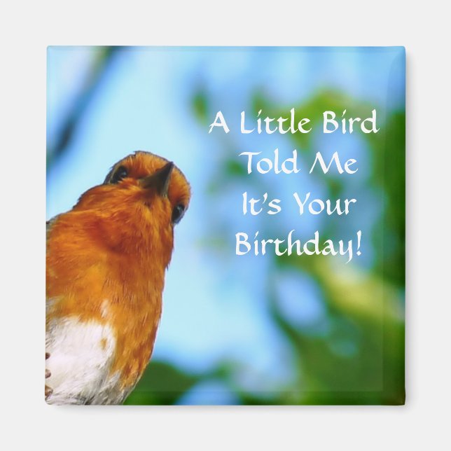 AIMANT ROBINS (Devant)