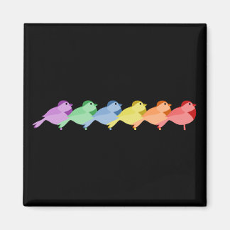 Aimant Robins arc-en-ciel