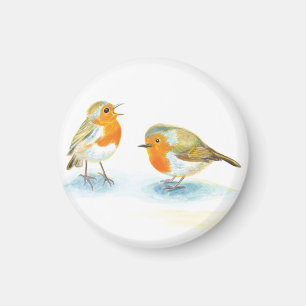 Aimant Robins rouges en hiver