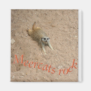 Aimant Roche de Meercats !