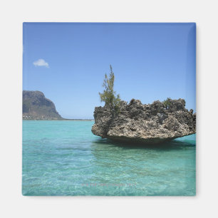 Aimant Roche en cristal composée de corail