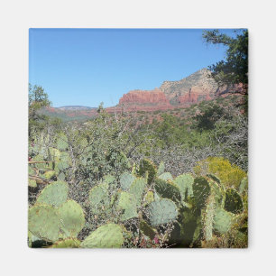 Aimant Rochers rouges et cactus I