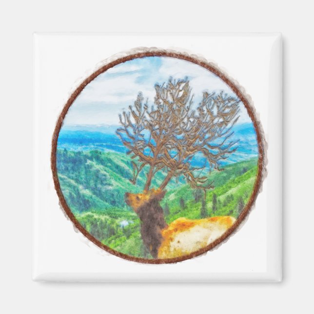 Aimant Roi Cervus (Devant)