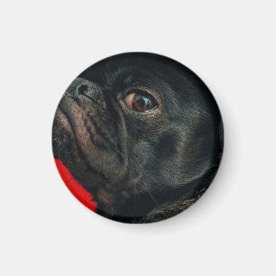 Aimant rojo dog