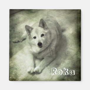 Aimant Roka