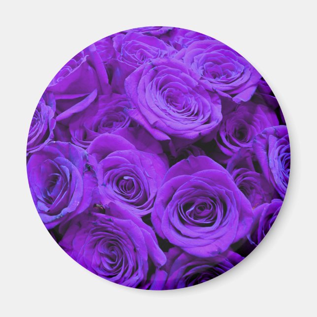 Aimant romantic violet purple roses, pretty rose bouquet (Devant)
