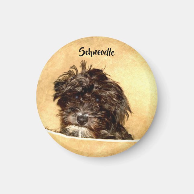 Aimant Rond Chien Schnoodle (Devant)