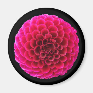 Aimant Rond pour Réfrigérateur Fleur de Dahlia Ros