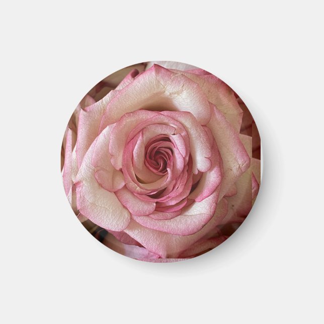 Aimant Rond Rose Blanche aux Pointes Roses Élégant (Devant)
