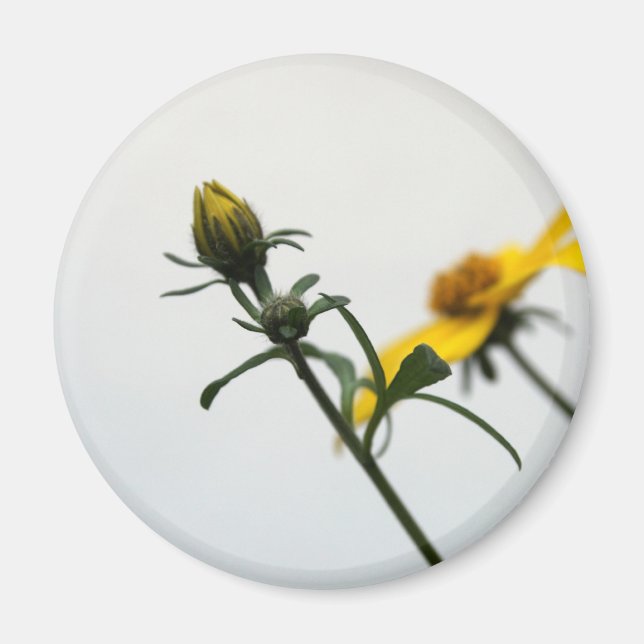 Aimant rond simple Fleurs Jaunes (Devant)