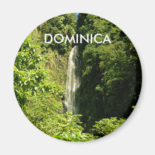 Aimant rond Standard De 2¼ Pouce