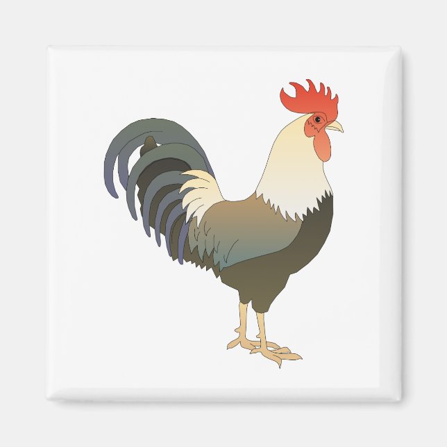 Aimant Rooster (Devant)