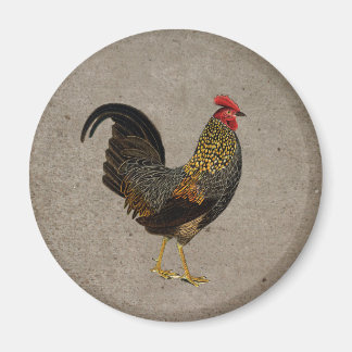 Aimant Rooster