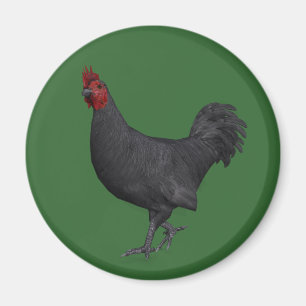 Aimant Rooster noir