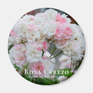 Aimant Rosa Cerezo