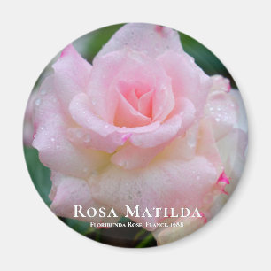 Aimant Rosa Matilda