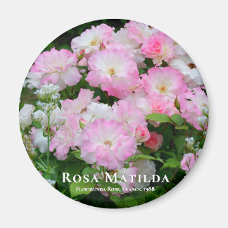 Aimant Rosa Matilda マ グ