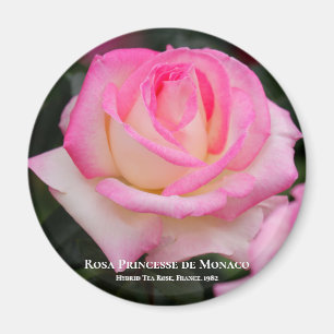 Aimant Rosa Princesse de Monaco