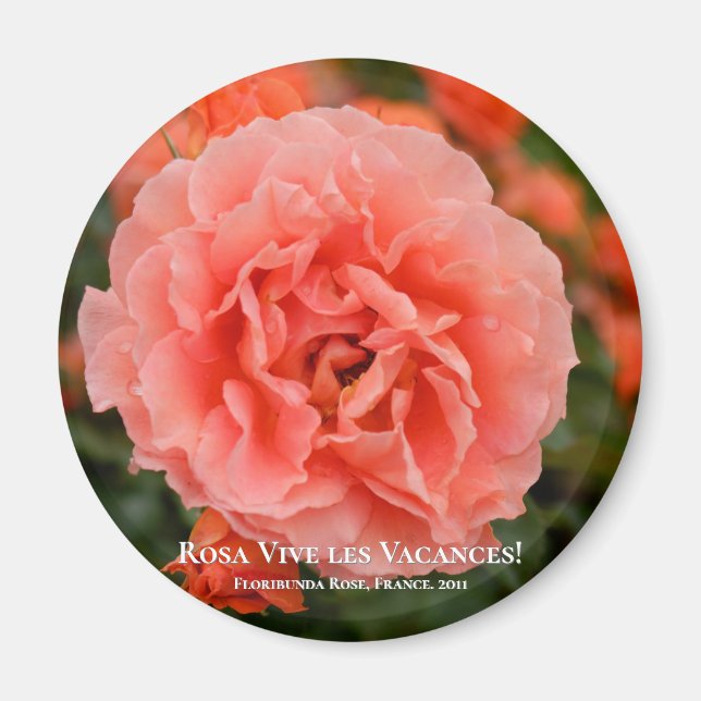Aimant Rosa Vive les Vacances ! マ グ (Devant)