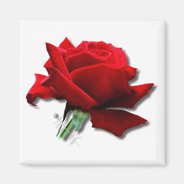 Aimant Rose (Devant)