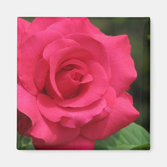 Aimant Rose (Devant)