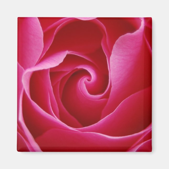 Aimant Rose (Devant)