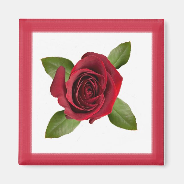 Aimant Rose (Devant)