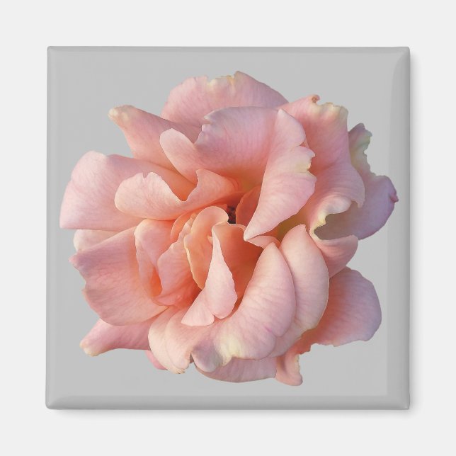 Aimant rose (Devant)