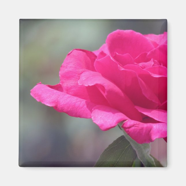 Aimant Rose (Devant)