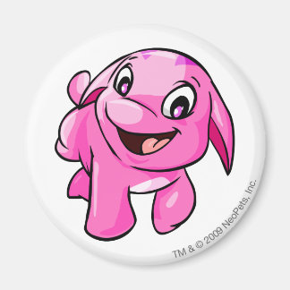 Aimant Rose