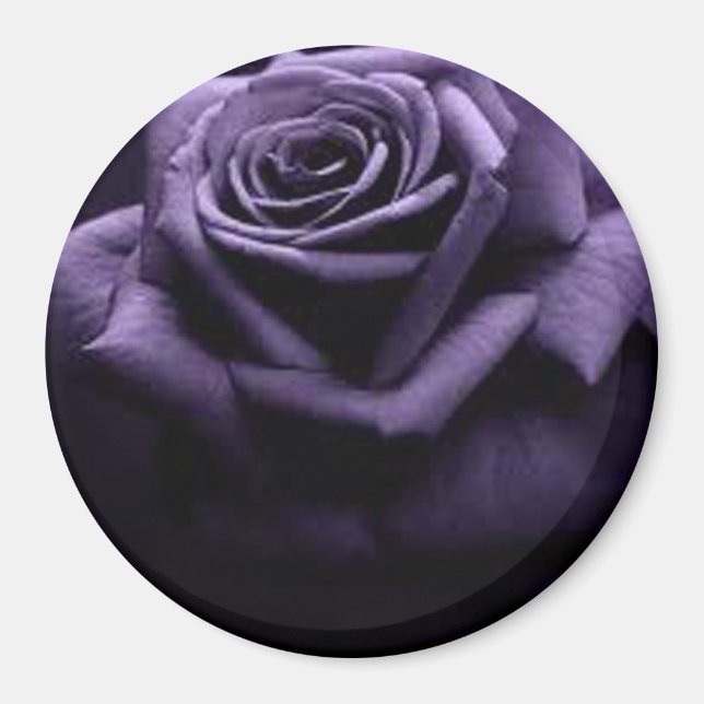 AIMANT ROSE (Devant)