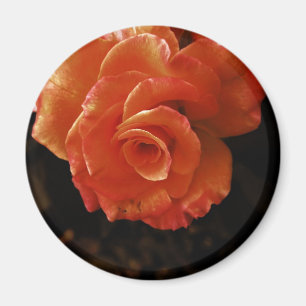 Aimant Rose