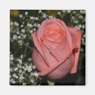 Aimant Rose-005 de corail