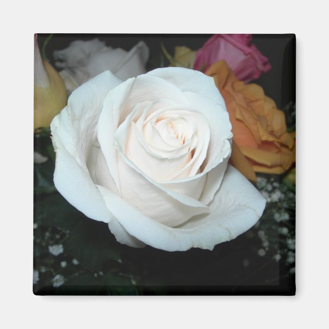 aimant rose blanc (Devant)