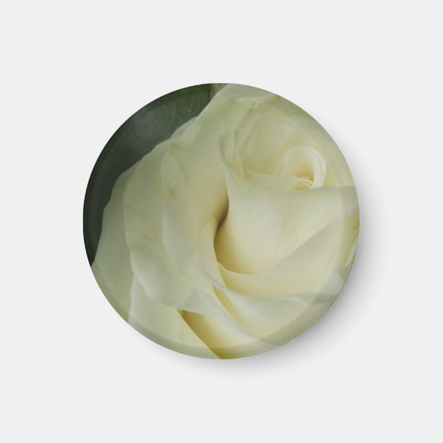 Aimant Rose blanche (Devant)