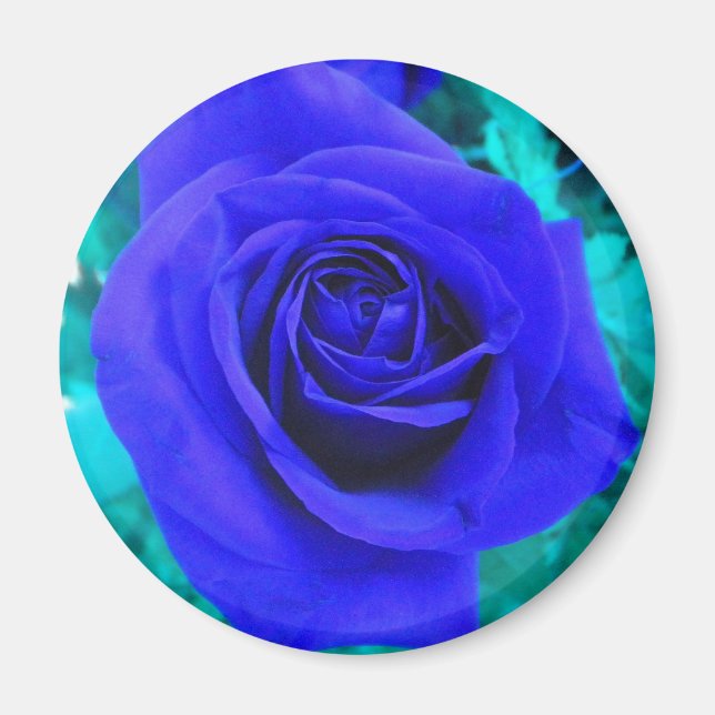 Aimant Rose bleu saphir (Devant)