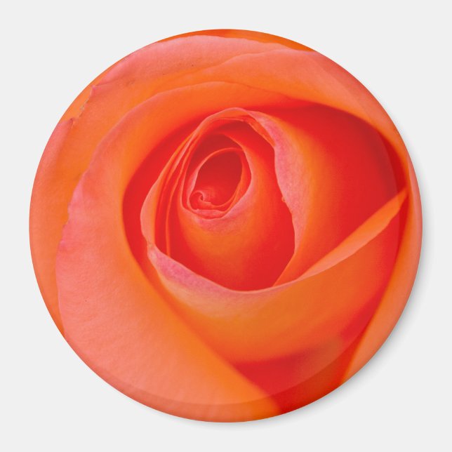 Aimant Rose Bouddha Orange Merveilleux (Devant)
