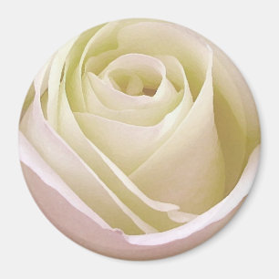Aimant Rose Bridale Blanche