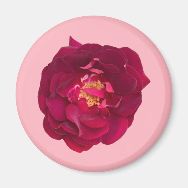 AIMANT ROSE C (Devant)