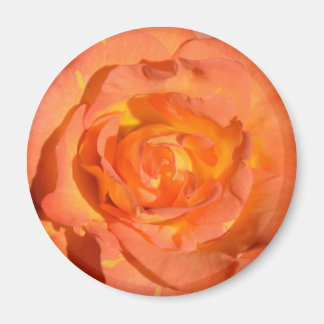 Aimant Rose citron et orange