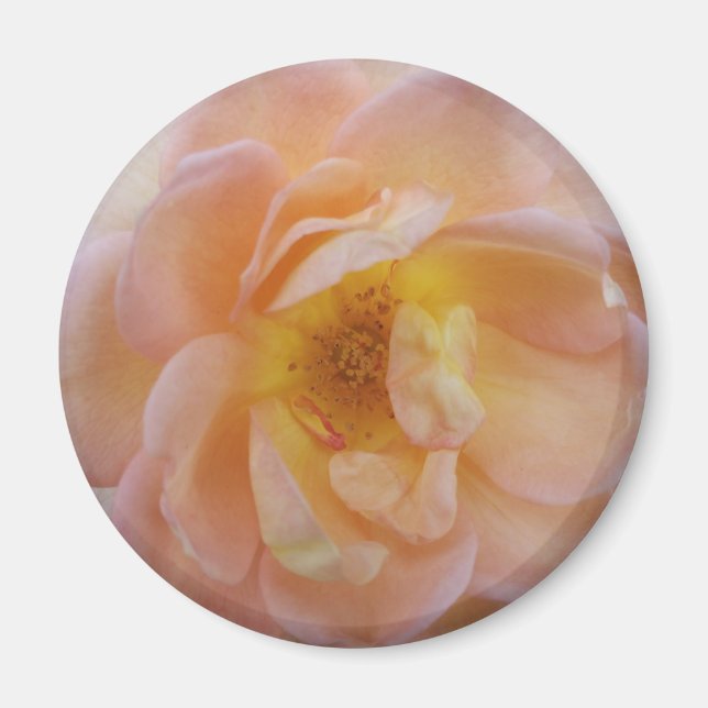 Aimant Rose couleur bracelet (Devant)