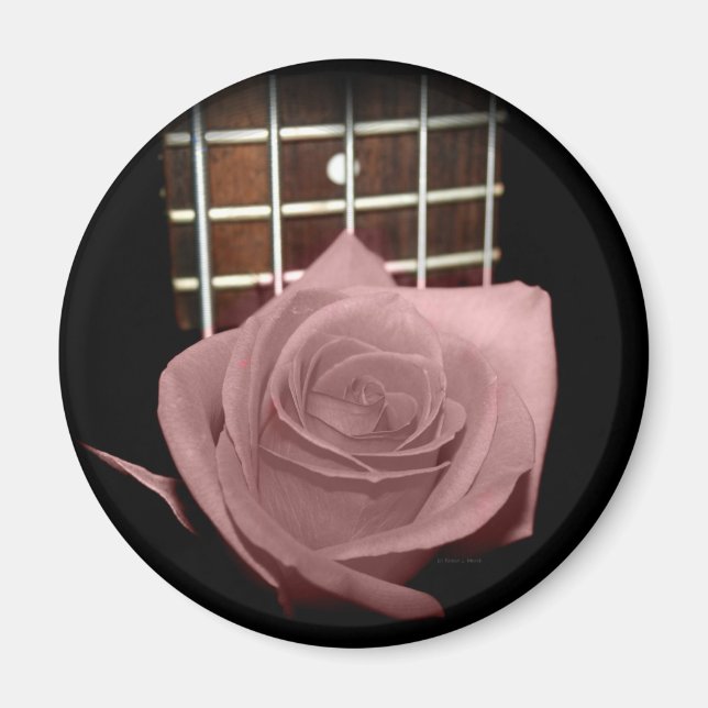 Aimant Rose couleur rose brun contre cinq cordons bass fr (Devant)